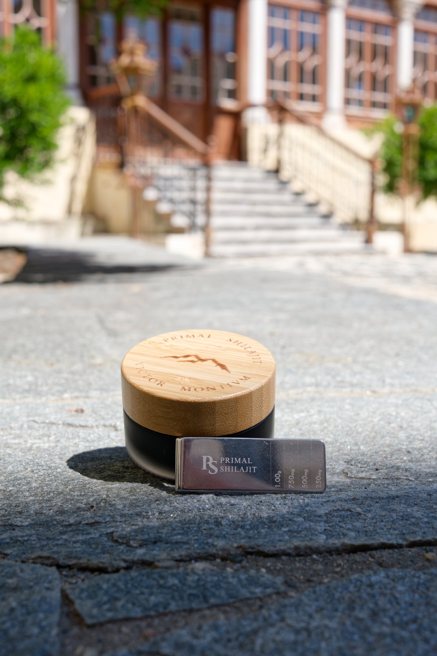 Shilajit Resin 30g