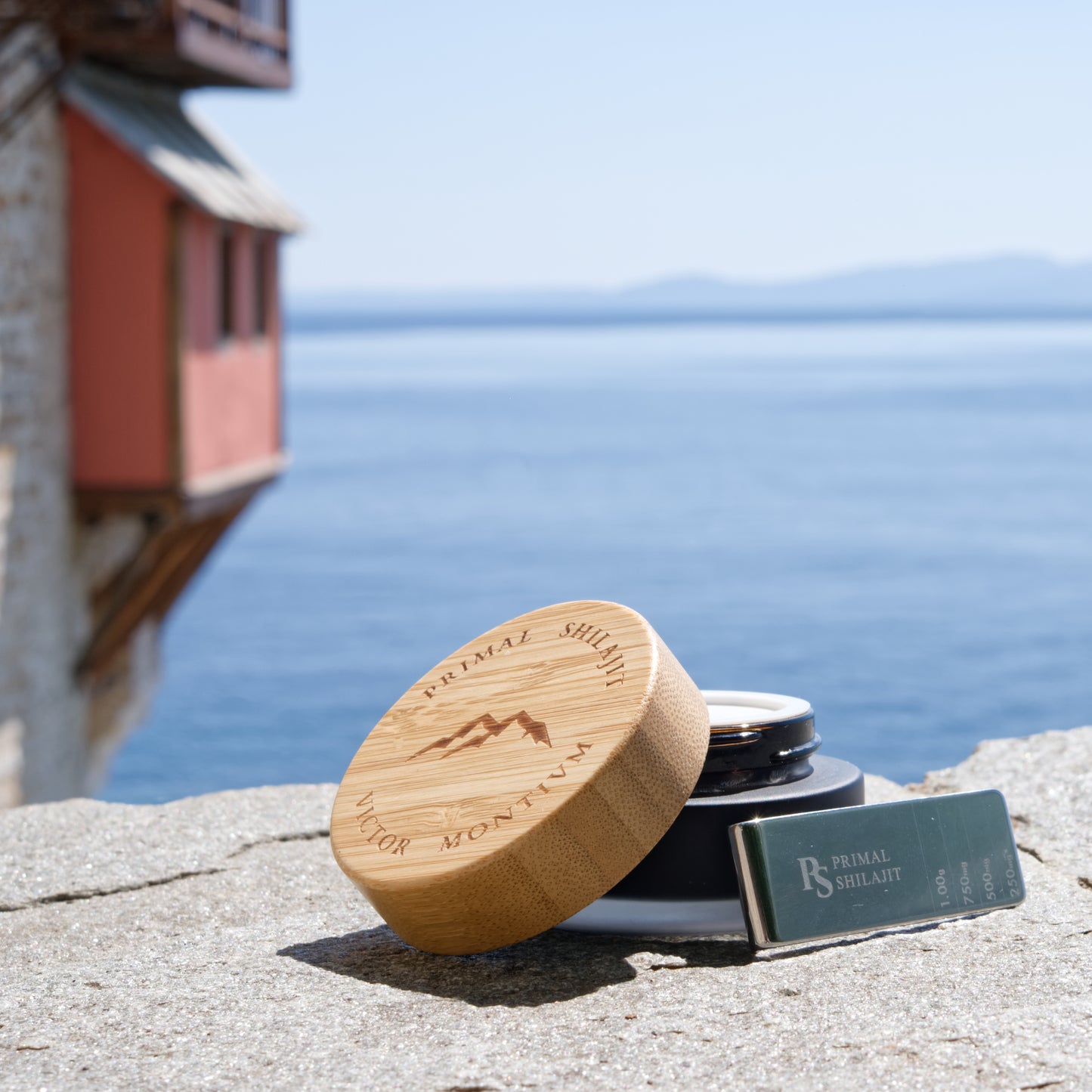Shilajit Resin 30g